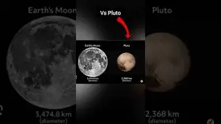 Things That Are Actually Bigger Than You Think 🤯🤯