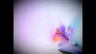 PISCES ♓️ IT’S THE WAY YOU LOVE (SPIRITUAL GROWTH READING)