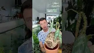 17 июня 2023 г.