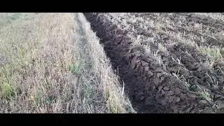 Плуг Лидер! Отчёт!