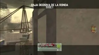 Dgit-LiinX: Sick Koala in Highrise