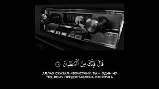#short #shorts #shots #shortvideo #islamicvideo #quran #коран #islam #islamic