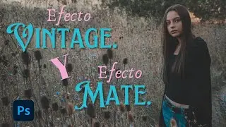 De Básico a ESPECTACULAR: Efecto Mate y Vintage con PHOTOSHOP