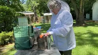 Beekeeping Tip: Keeping a Table in the Bee Yard