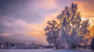 Свиридов. Романс к драме Пушкина 