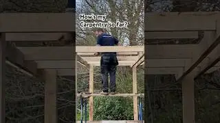 Garden Renovation Update