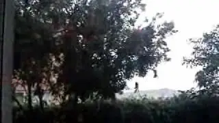 Extreme Rain Storm
