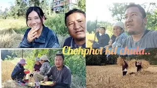 KUKI,NAGA HARVESTING PART 2 CHOHPHOT  EBETEU CHANGVOHNA PAO JAT2 THOKIT DI NUIJA ACHIL KITHAL LOI😂😳