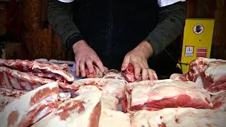 Butchering Pigs At Home