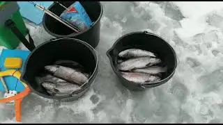 WhatsApp Video 2023 04 01 at 12 57 40