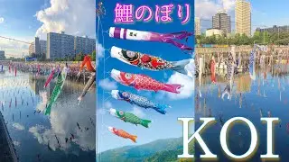 🎏 Carpas Koi 🎎  KODOMO no HI 🎏 Koinobori🎌🔴【JAPÓN 2021】JAPAN  こどもの日 🔹こいのぼり(歌)