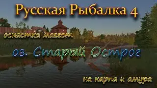 рр4 - пробую оснастку маггот