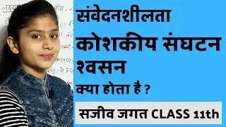 What is Sensitivity | What is Cellular Organism | What is Respiration | Living Word Biology Class 11