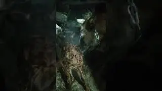 роды прошли успешно