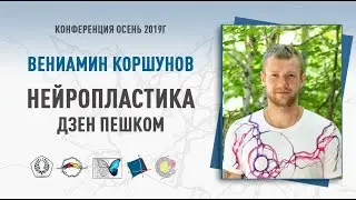 Нейропластика.  Осознанная ходьба. Дзен пешком | Вениамин Коршунов