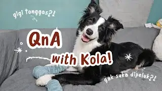 Kola bakal dianakin gak?!