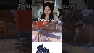 it's always the team, not me in overwatch