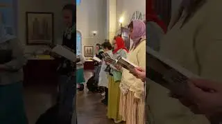 Наша поездка 17082024