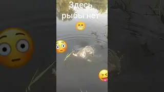 Здесь рыбы нет! Рыбалка!