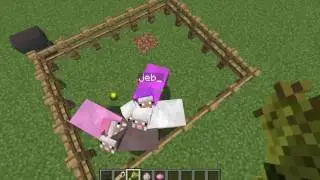 Minecraft. Como hacer una oveja que cambia de color + Experimentos