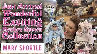 Just Arrived Wonderful Exciting Monkey Reborn Collection