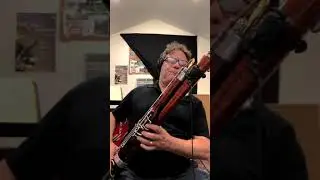 Doorknocker -electric bassoon quick banger