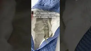Каждый раз так 😅