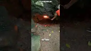 CO2 In Cave #shorts