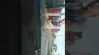дружное|разборка|шлагбаум