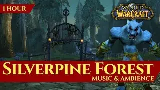 Vanilla Silverpine Forest - Music & Ambience (1 hour, 4K, World of Warcraft Classic)