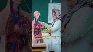 Преподаватель анатомии и физиологии человека МК им. Башларова Магомедова Марьям Эдуардовна