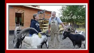 Securing Your Home:  Roof Underlayment and House Wrap | Days 49-51