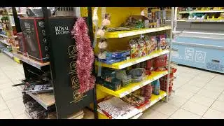 Мишустин разрешил. Проверок не будет.
