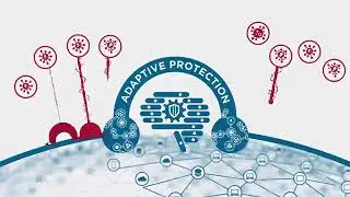 Symantec Endpoint Security Complete