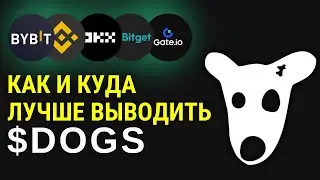 DOGS - как вывести на биржу? Награды от бирж и где взять КУС?