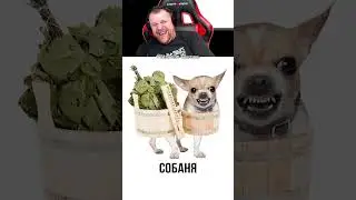 Петренто Батутка  