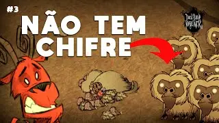 O mundo sem fim #3 - A procura incessante de um único item