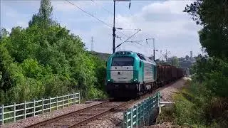 Comboio 89168 a passar sobre o Rio Arunca no Marujal