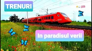 TRENURI / In Paradisul Verii