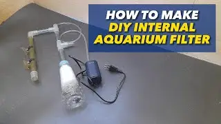 How to make DIY internal filter using plastic bottle, aerator, and pipe for aquarium and aquasape