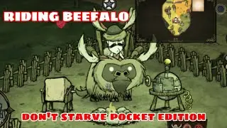 RIDING BEEFALO DON'T STARVE POCKET EDITION 1.19.2