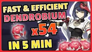 55 DENDROBIUM FARM IN 5 MIN! Fast & Efficient Routes | Genshin Impact  Debdribio