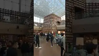Coex Library | Seoul, South Korea (November 2022)