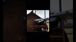 parking the horse 🐎