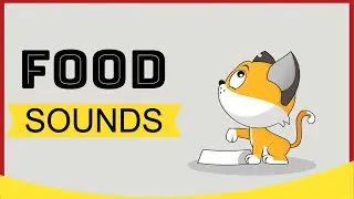 Food Sound For Cats