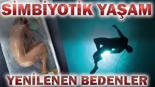 Simbiyotik Yaşamlar ve Yenilenen Bedenler,Ölümsüzlük,Masum Şeytan Elon Musk