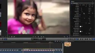 The Facial Blur Plugin for Final Cut X