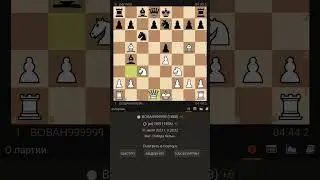 5+0 блиц 