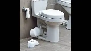 Toilet Flushing Sound
