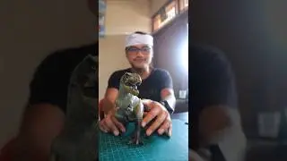 t rex #dramamainan  dinasaurus dino